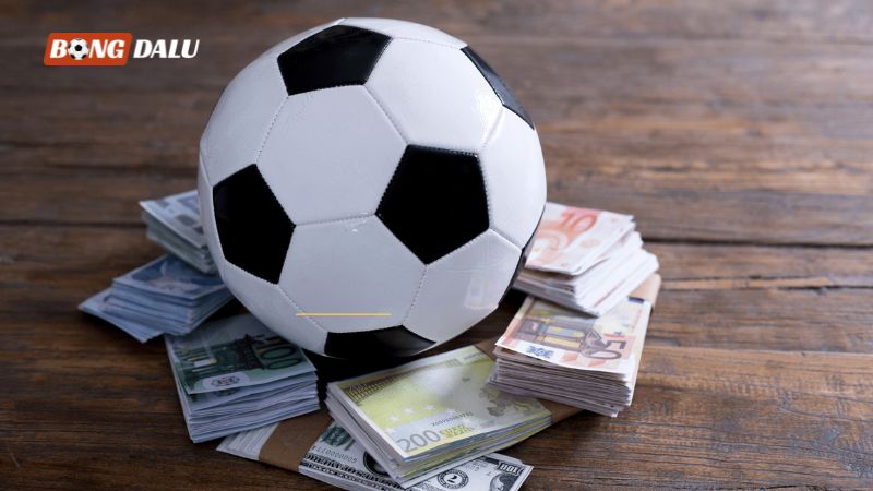 Cá độ bóng đá là gì?