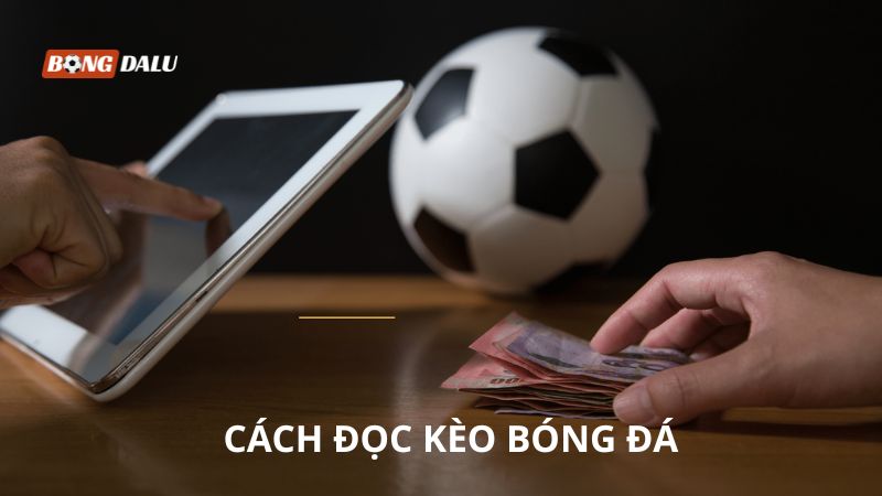 Cách Đọc Kèo Bóng Đá: Hướng Dẫn Dành Cho Tân Thủ