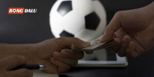 Giải đáp chi tiết cho người chơi mới về dự đoán bóng đá là gì?