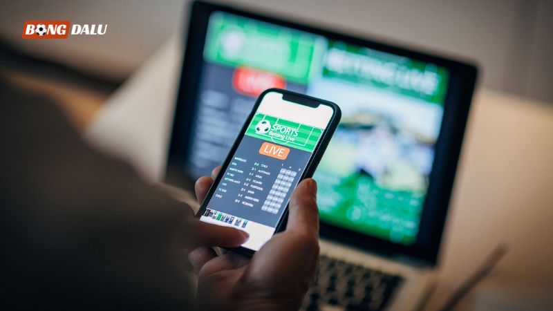 Đừng chỉ dựa vào tỷ lệ kèo cao mà rót vốn đầu tư