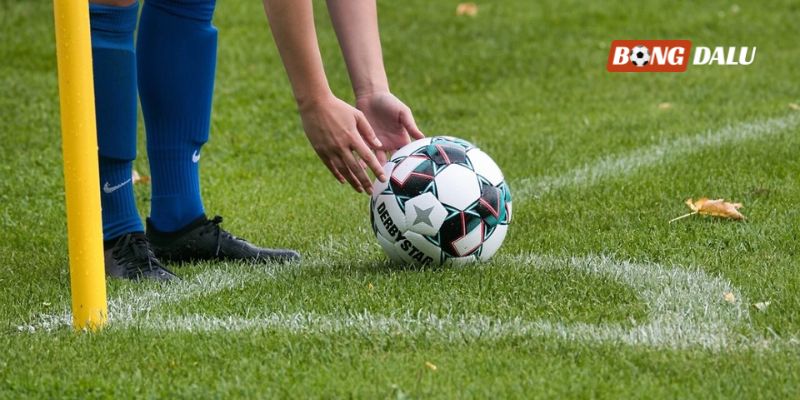 Giải đáp lý do nhiều cược thủ yêu thích loại hình cá cược này