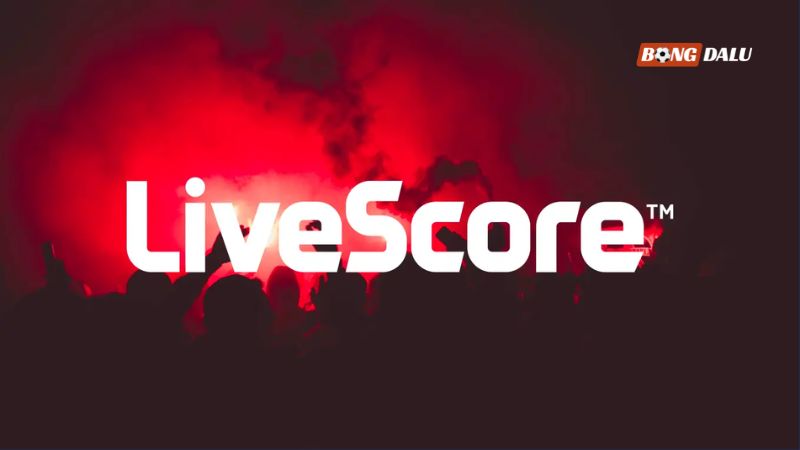 Livescore Bongdalu hỗ trợ người dùng cập nhật KQBD real time