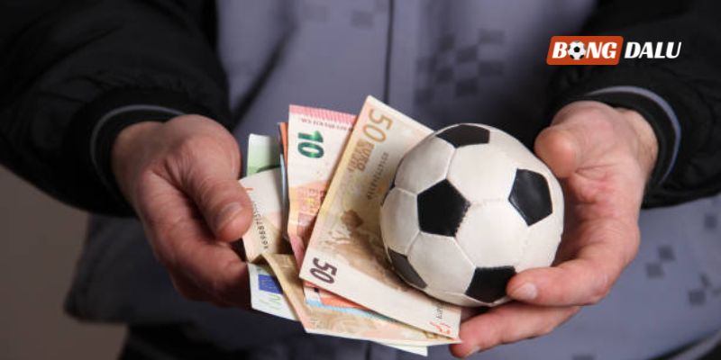 Những mẹo hay cho người chơi mới khi soi kèo cược