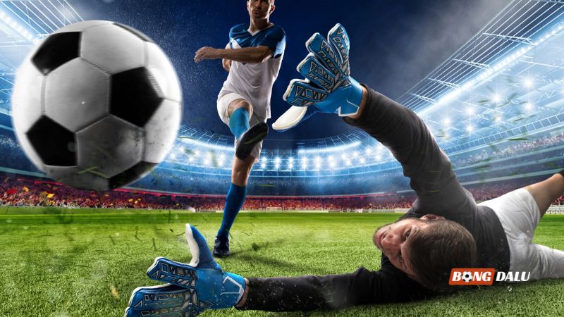 Tra cứu lộ trình sân cỏ hôm nay