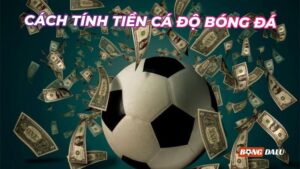 Cách Tính Tiền Trong Cá Độ Bóng Đá – Hướng Dẫn Chi Tiết