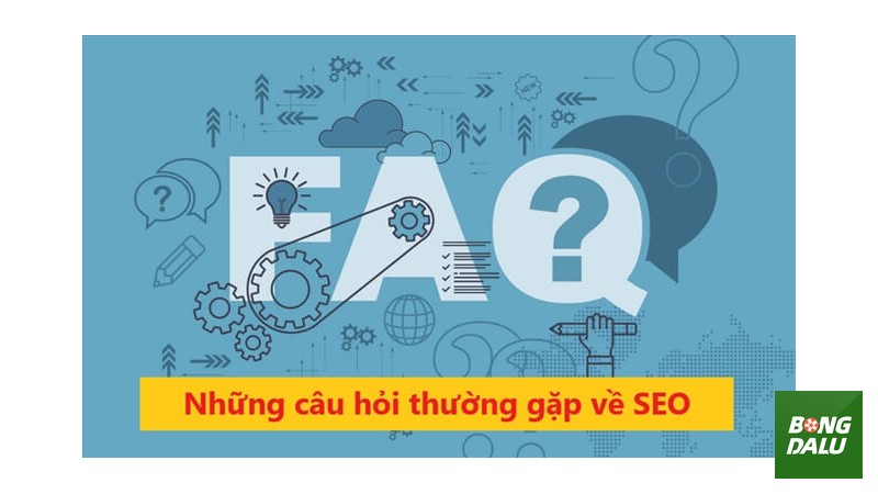 Giải mã Câu Hỏi Thường Gặp Bongdalu về trải nghiệm người dùng