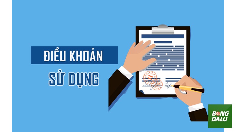 Quy Định Chung Về Việc Sử Dụng Nền Tảng Bongdalu