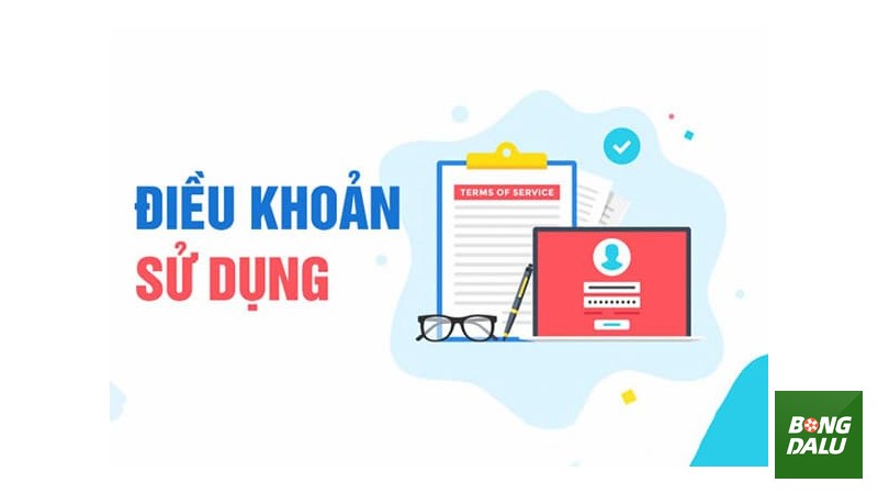 Trách Nhiệm Của Người Dùng Khi Sử Dụng Dịch Vụ Bongdalu