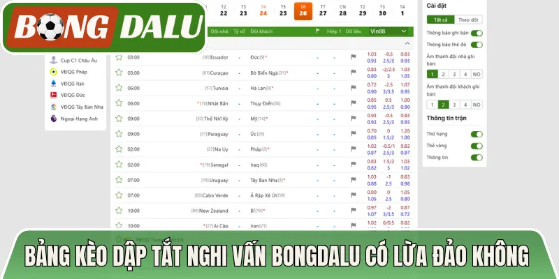 Bảng kèo dập tắt nghi vấn Bongdalu có lừa đảo không 
