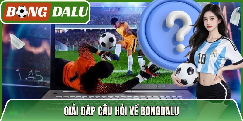 Giải đáp câu hỏi về Bongdalu