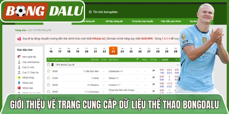 Giới thiệu về trang web chuyên cung cấp dữ liệu thể thao Bongdalu
