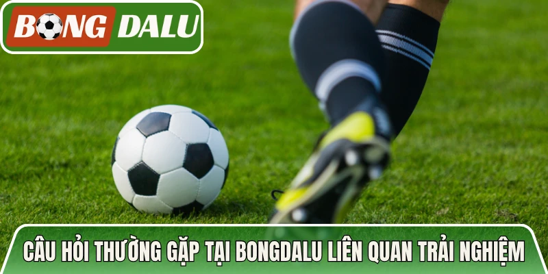 Câu hỏi thường gặp tại Bongdalu liên quan đến trải nghiệm