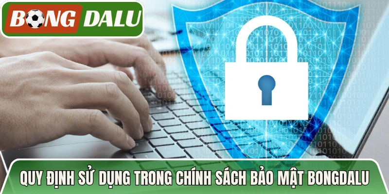 Quy định sử dụng trong chính sách bảo mật Bongdalu