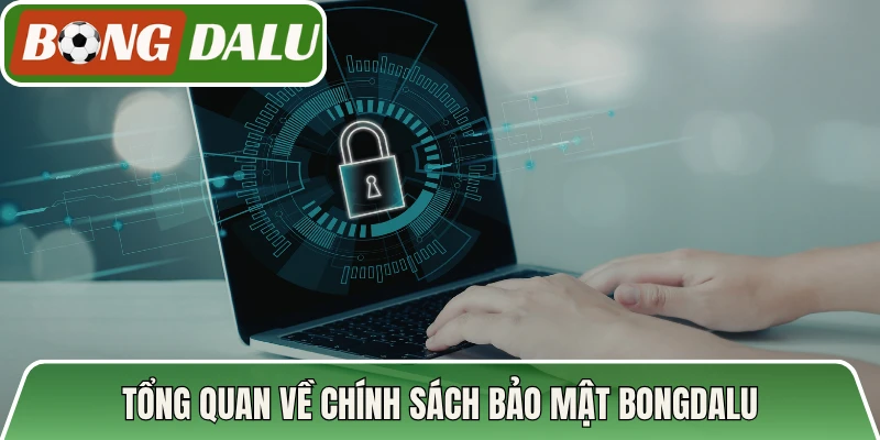 Tổng quan về chính sách bảo mật Bongdalu