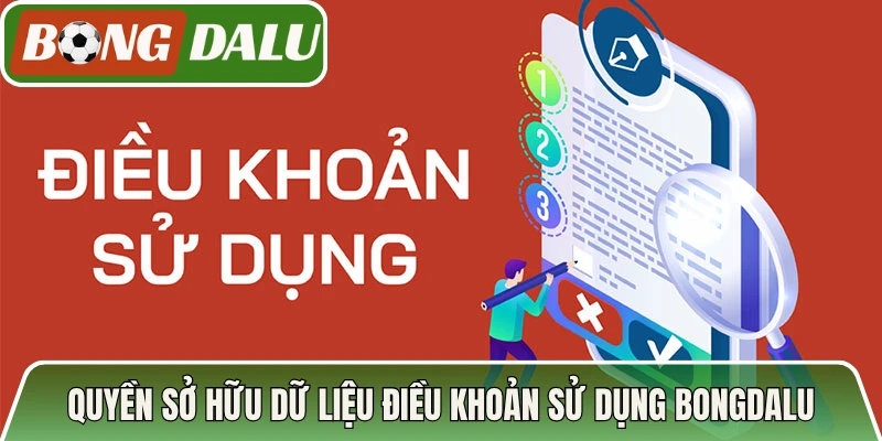 Quyền sở hữu dữ liệu trong điều khoản sử dụng Bongdalu