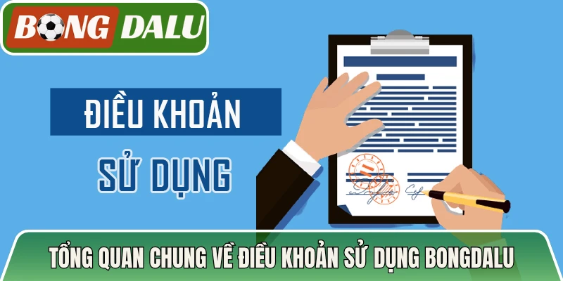 Tổng quan chung về điều khoản sử dụng Bongdalu