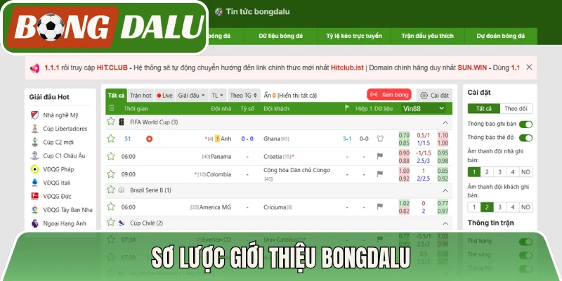 Sơ lược giới thiệu Bongdalu