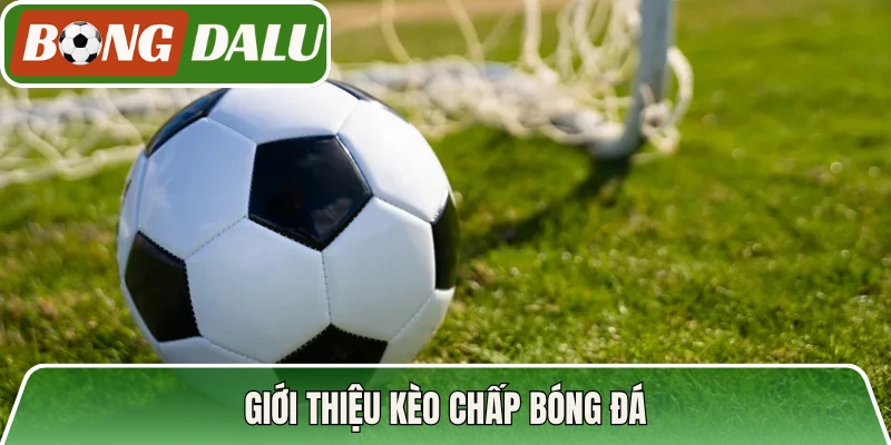 Giới thiệu kèo chấp bóng đá