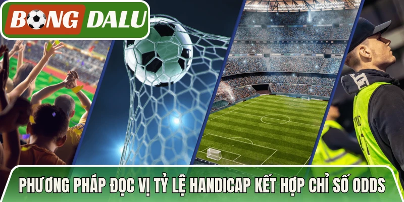 Phương pháp đọc vị tỷ lệ handicap kết hợp chỉ số Odds