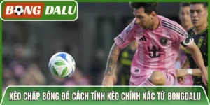 Kèo Chấp Bóng Đá Cách Tính Kèo Chính Xác Từ Bongdalu
