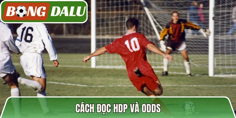 Cách đọc HDP và Odds
