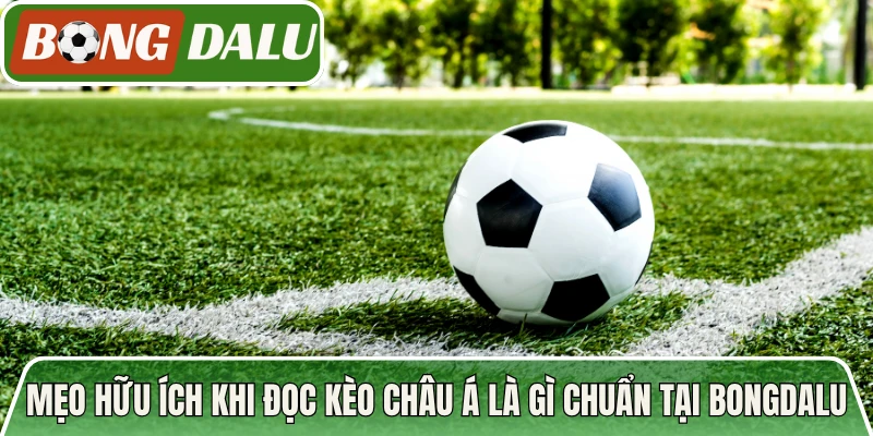 Mẹo hữu ích khi đọc kèo Châu Á là gì chuẩn tại Bongdalu