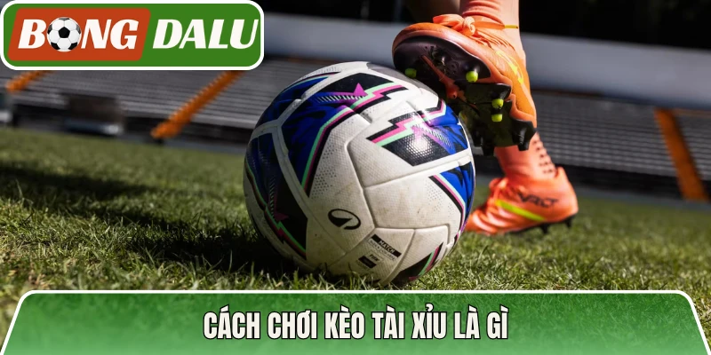 Cách chơi kèo tài xỉu là gì