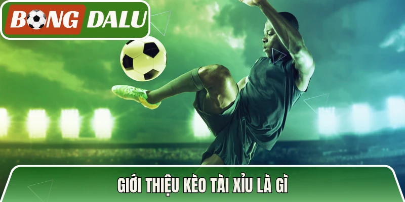 Giới thiệu kèo tài xỉu là gì