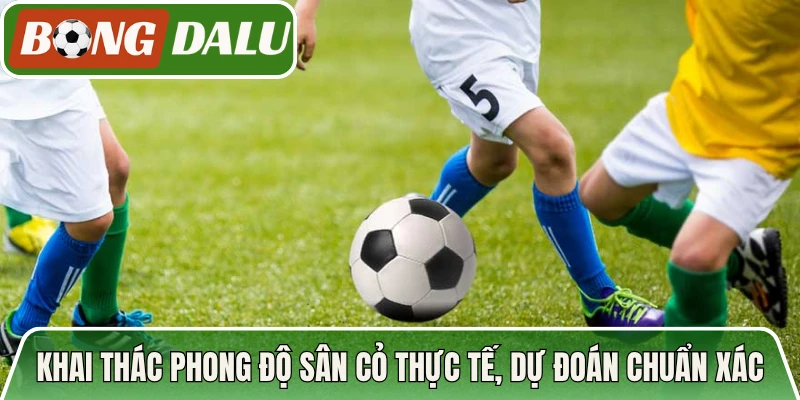 Khai thác phong độ sân cỏ thực tế, dự đoán chuẩn xác