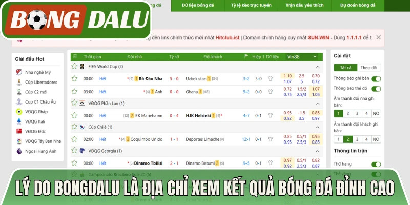 Lý do Bongdalu là địa chỉ xem kết quả bóng đá đỉnh cao