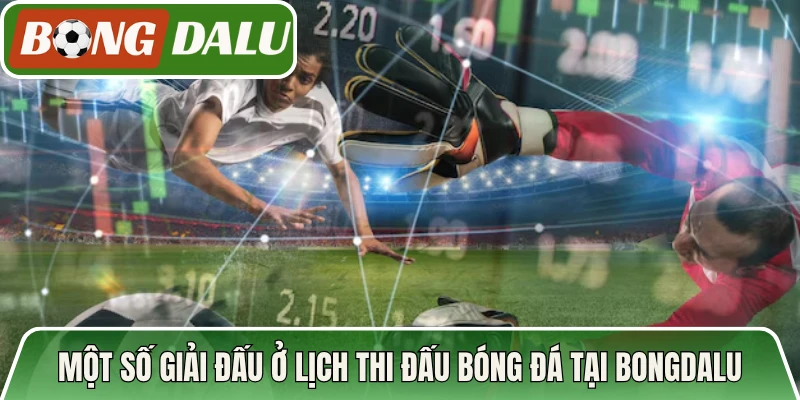 Một số giải đấu ở lịch thi đấu bóng đá tại Bongdalu