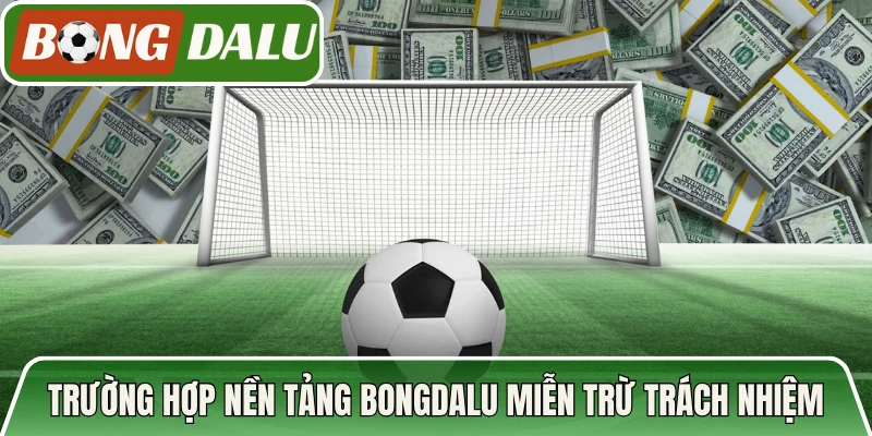 Trường hợp nền tảng Bongdalu được miễn trừ trách nhiệm