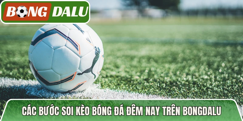 Các bước soi kèo bóng đá đêm nay trên Bongdalu
