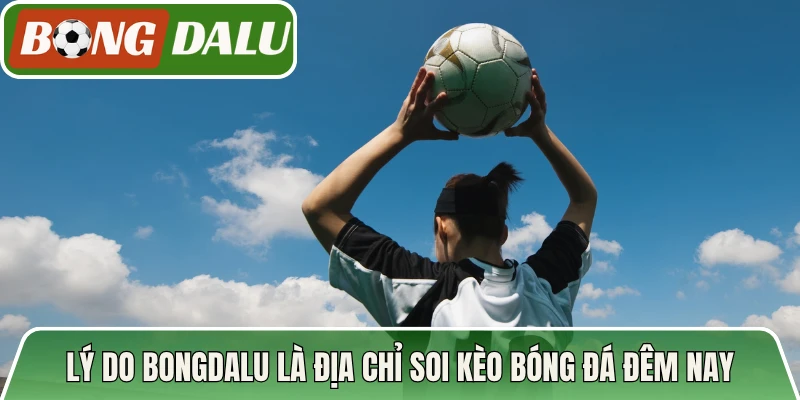 Lý do Bongdalu là địa chỉ soi kèo bóng đá đêm nay