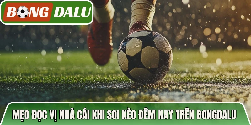 Mẹo đọc vị nhà cái khi soi kèo đêm nay trên Bongdalu 
