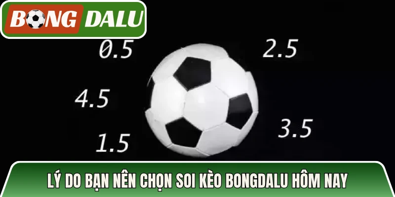 Lý do bạn nên chọn soi kèo Bongdalu hôm nay