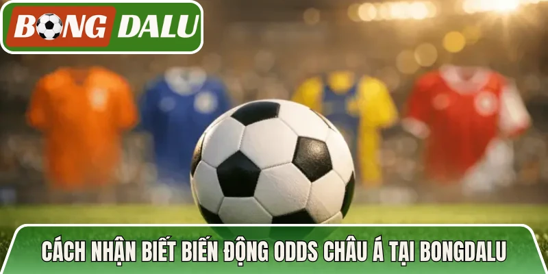 Cách nhận biết biến động odds Châu Á tại Bongdalu