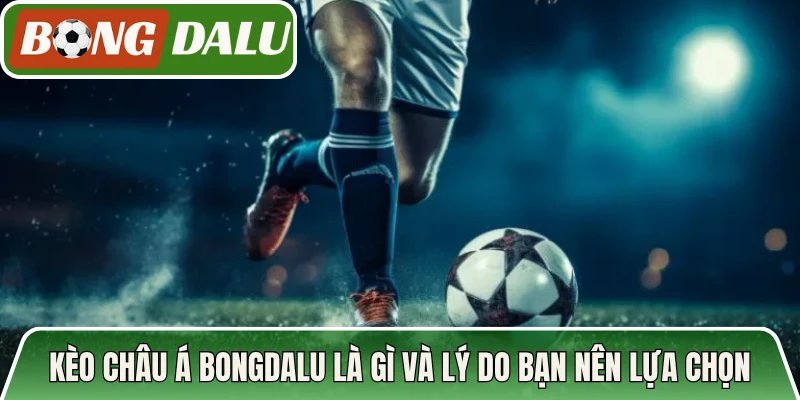Kèo Châu Á Bongdalu là gì và lý do bạn nên lựa chọn