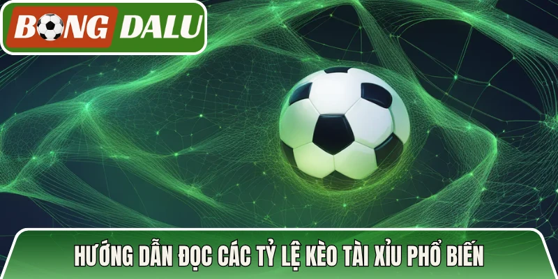 Hướng dẫn đọc các tỷ lệ kèo tài xỉu phổ biến trên Bongdalu