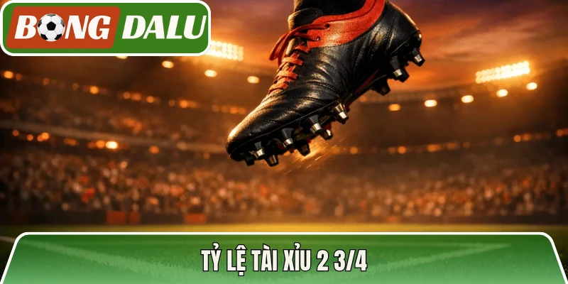 Tỷ lệ Tài Xỉu 2 3/4