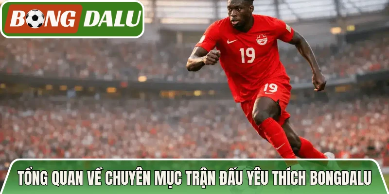 Tổng quan về chuyên mục trận đấu yêu thích Bongdalu