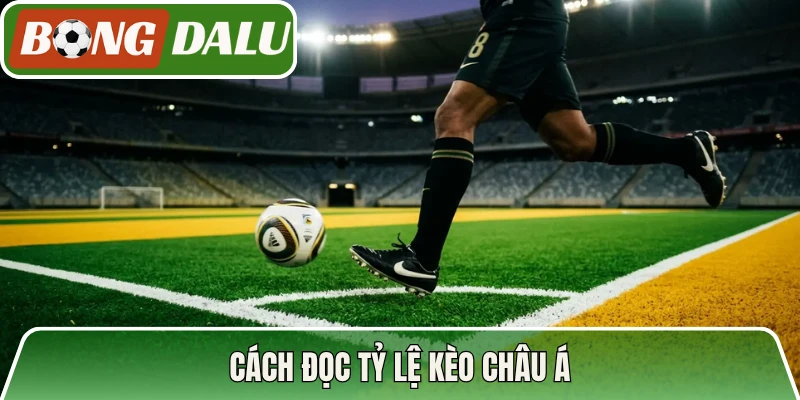 Cách đọc tỷ lệ kèo Châu Á