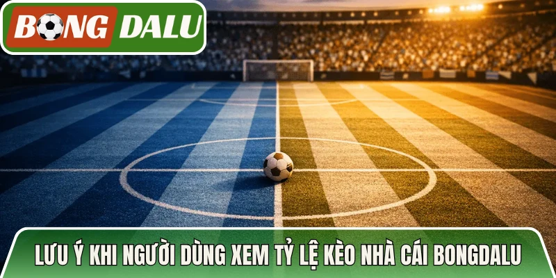 Lưu ý khi người dùng xem tỷ lệ kèo nhà cái bongdalu