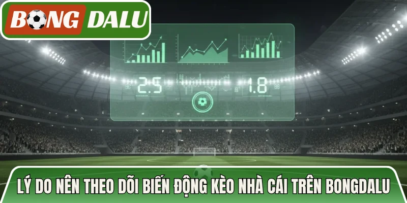Lý do nên theo dõi biến động kèo nhà cái trên Bongdalu