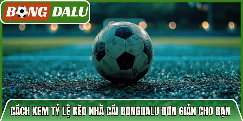 Cách Xem Tỷ Lệ Kèo Nhà Cái Bongdalu Đơn Giản Cho Bạn Mới