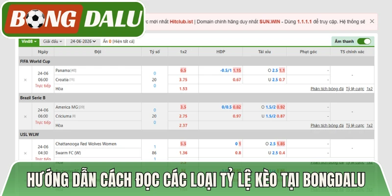Hướng dẫn cách đọc các loại tỷ lệ kèo tại Bongdalu
